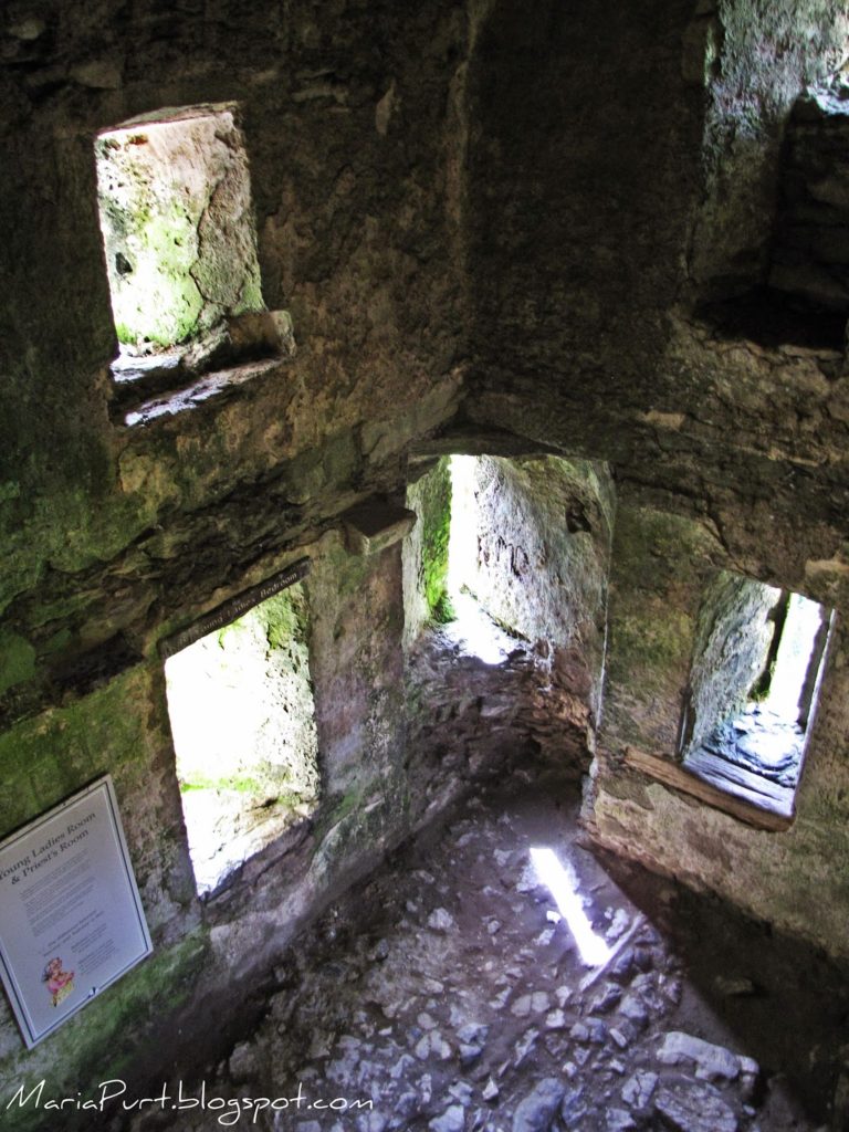 Внутри замка Бларни, Ирландия