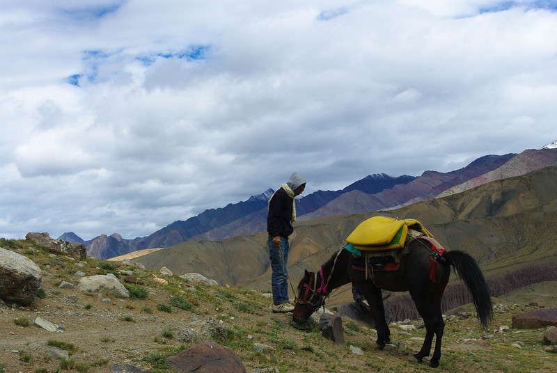 Проводник и лошадь в горах Гималаи