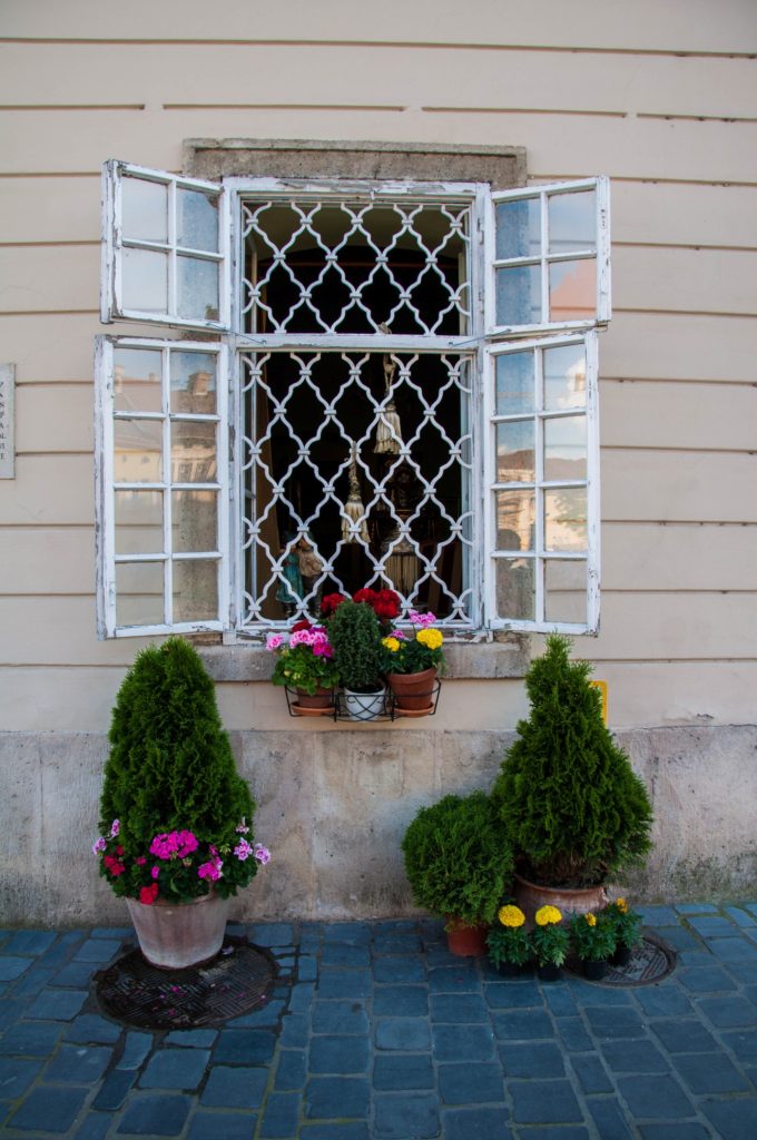 Растения в горшках у дома в Будапеште
