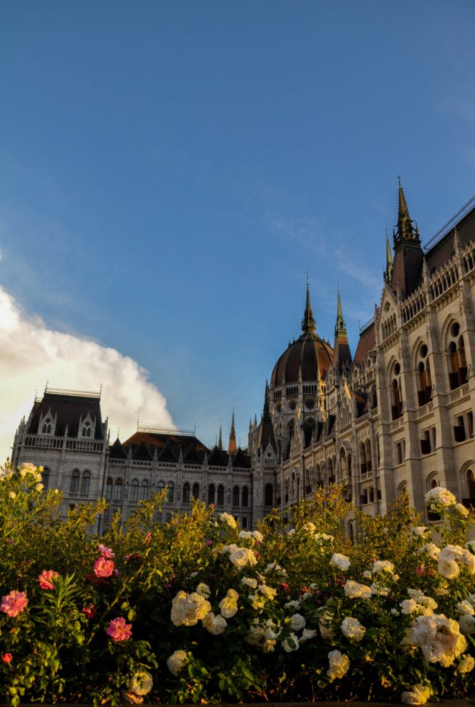 Цветочные клумбы около Здания Венгерского парламента, Будапешт