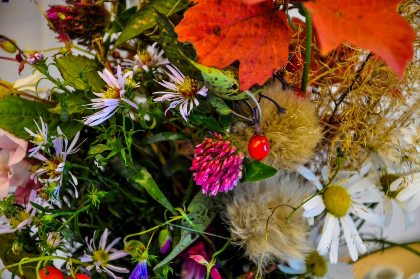 Осенний букет цветов