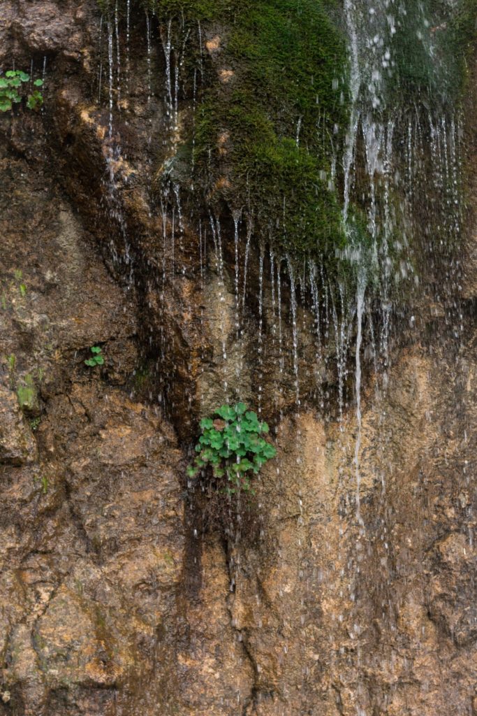 Водопад Фишт, Водопадистый