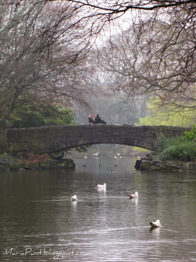 Каменный мост в парке Дублина, Ирландия