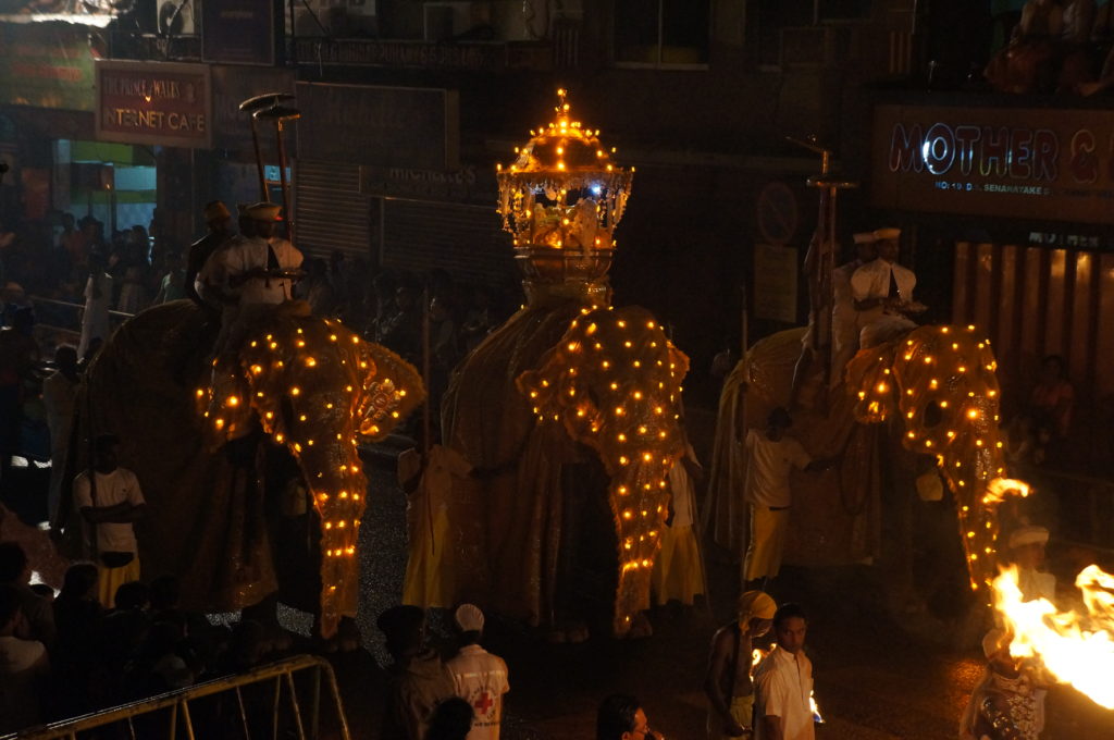 Фестиваль Эсала Перахера в Канди, Шри-Ланка, Цейлон
