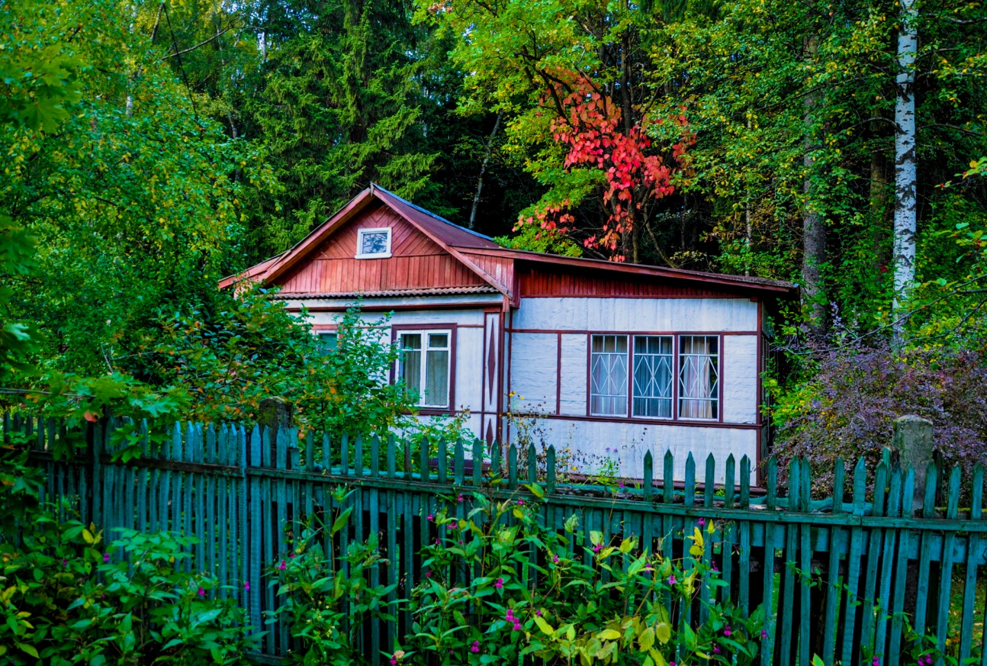Старый частный дом у леса в Опалихе, Красногорск, Московская область